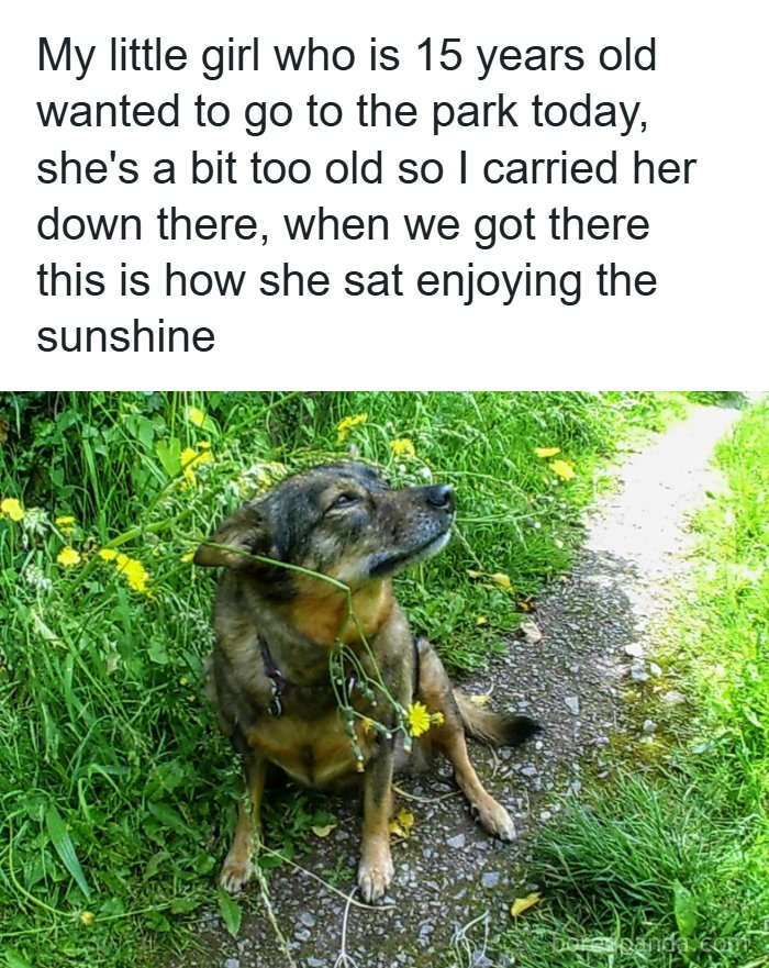 Need a Smile? These 89 Wholesome Memes Will Totally Boost Your Mood