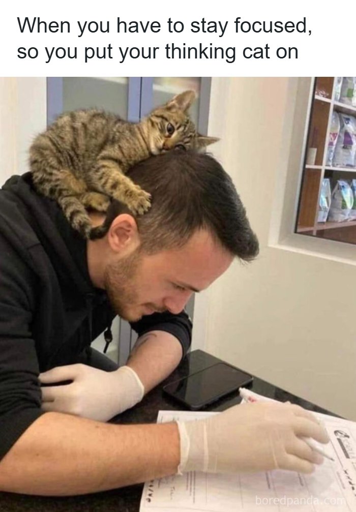 Need a Smile? These 89 Wholesome Memes Will Totally Boost Your Mood