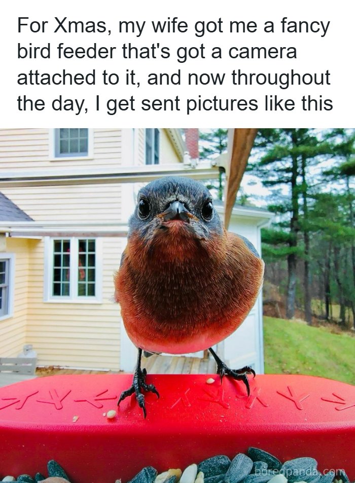 Need a Smile? These 89 Wholesome Memes Will Totally Boost Your Mood