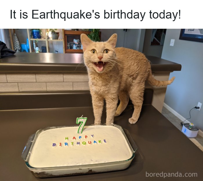 Need a Smile? These 89 Wholesome Memes Will Totally Boost Your Mood