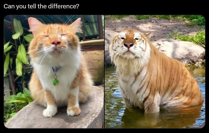 Need a Smile? These 89 Wholesome Memes Will Totally Boost Your Mood