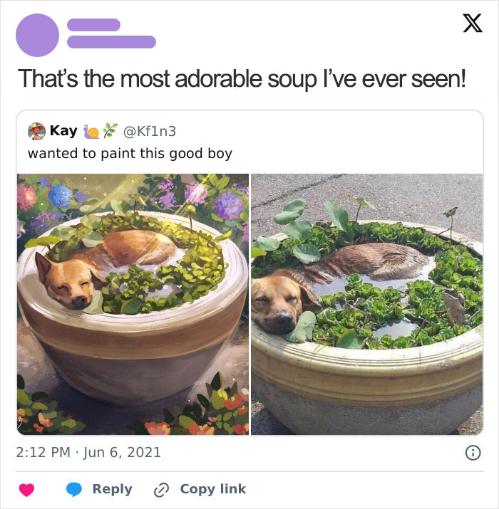 Need a Smile? These 89 Wholesome Memes Will Totally Boost Your Mood