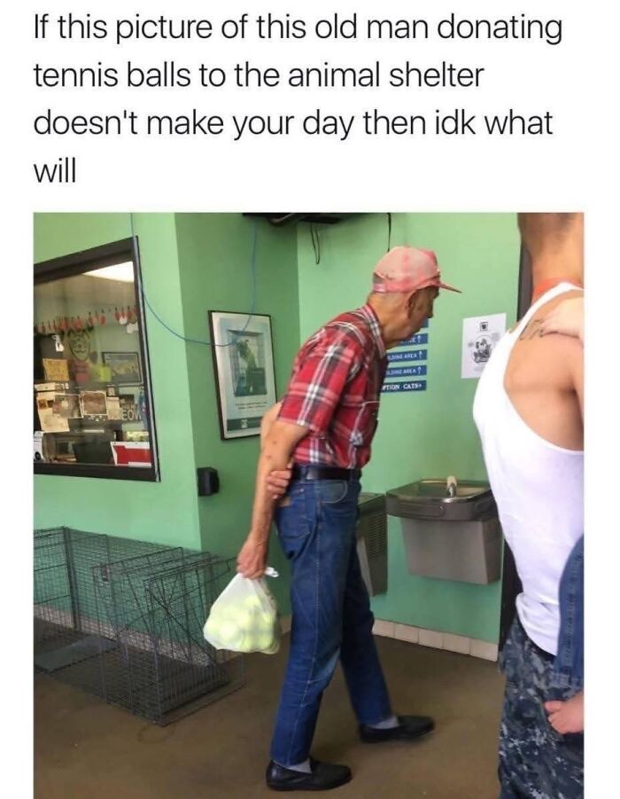 Need a Smile? These 89 Wholesome Memes Will Totally Boost Your Mood