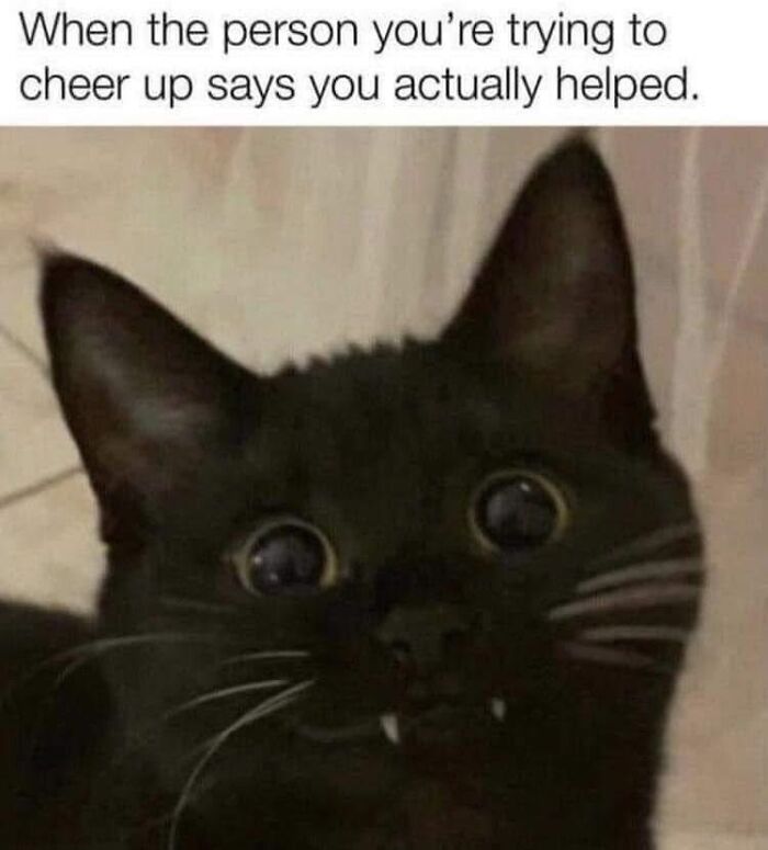 Need a Smile? These 89 Wholesome Memes Will Totally Boost Your Mood