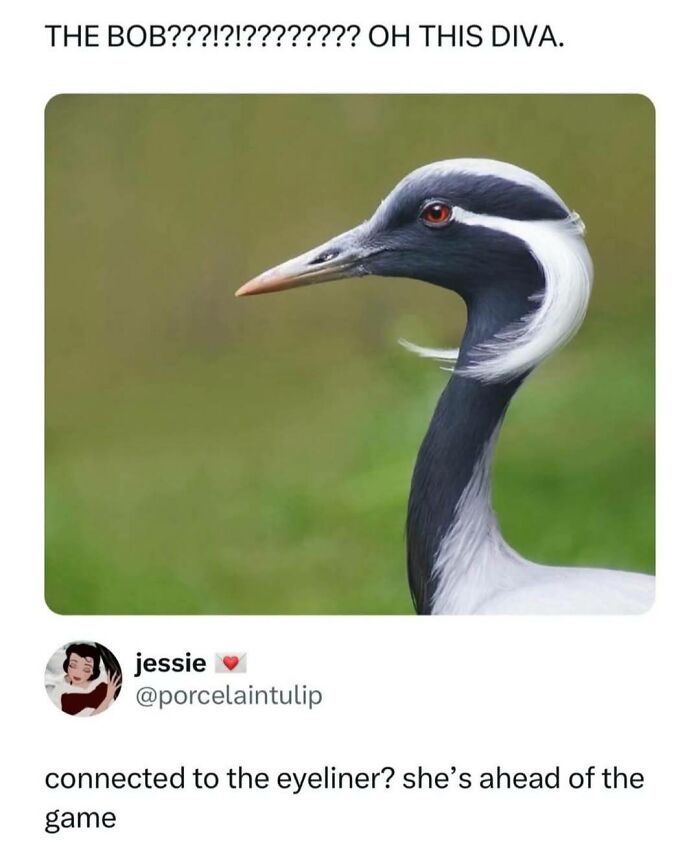 Need a Smile? These 89 Wholesome Memes Will Totally Boost Your Mood