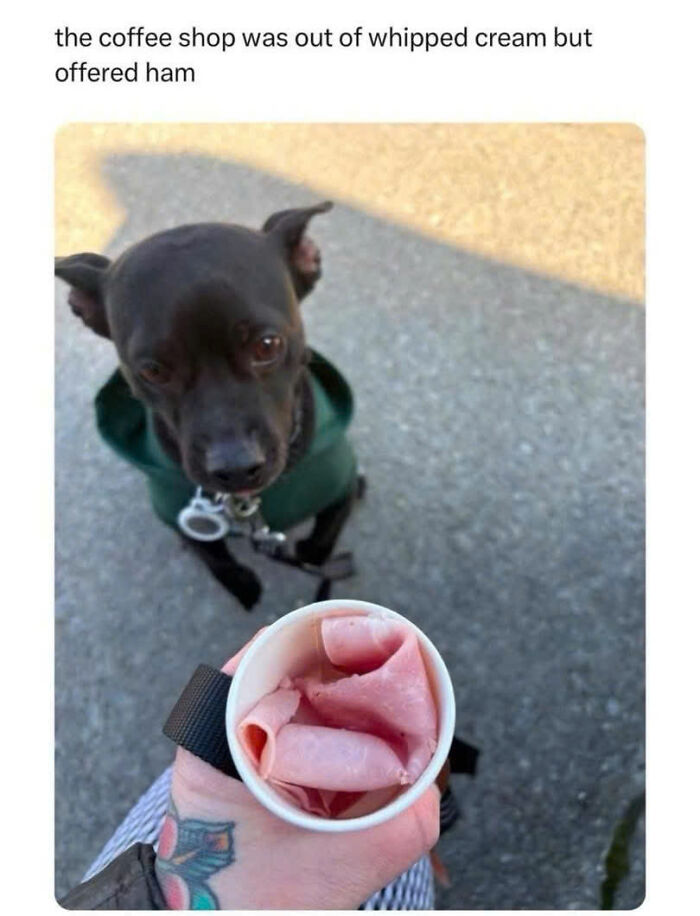 Need a Smile? These 89 Wholesome Memes Will Totally Boost Your Mood