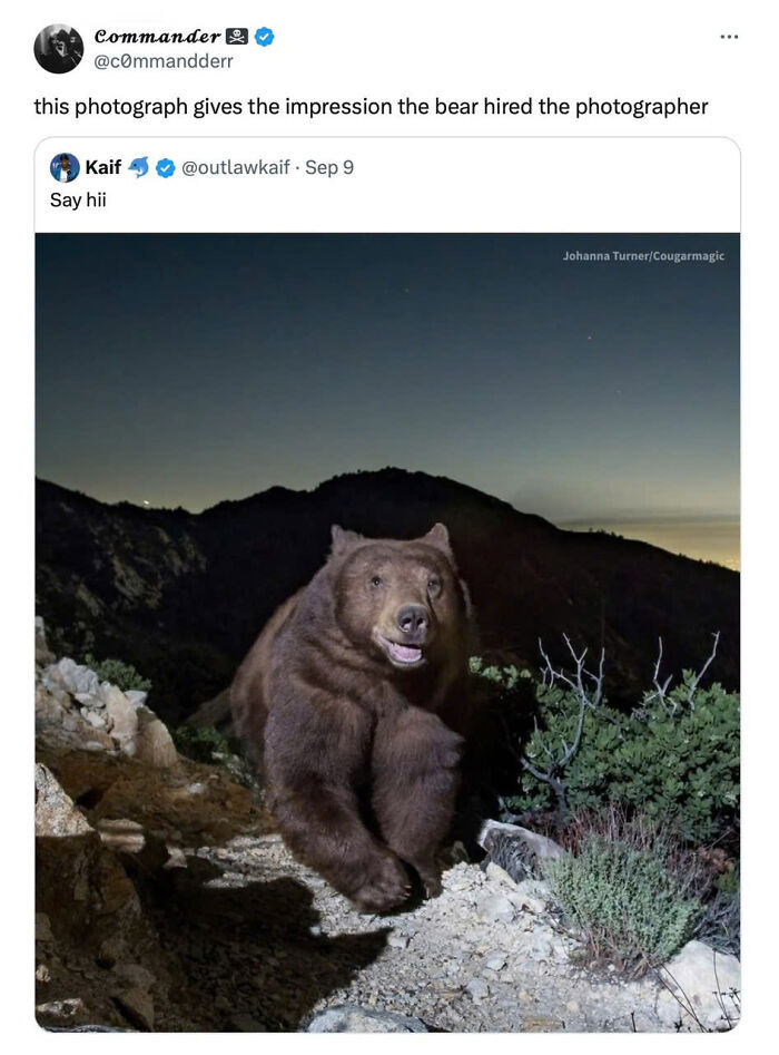 Need a Smile? These 89 Wholesome Memes Will Totally Boost Your Mood