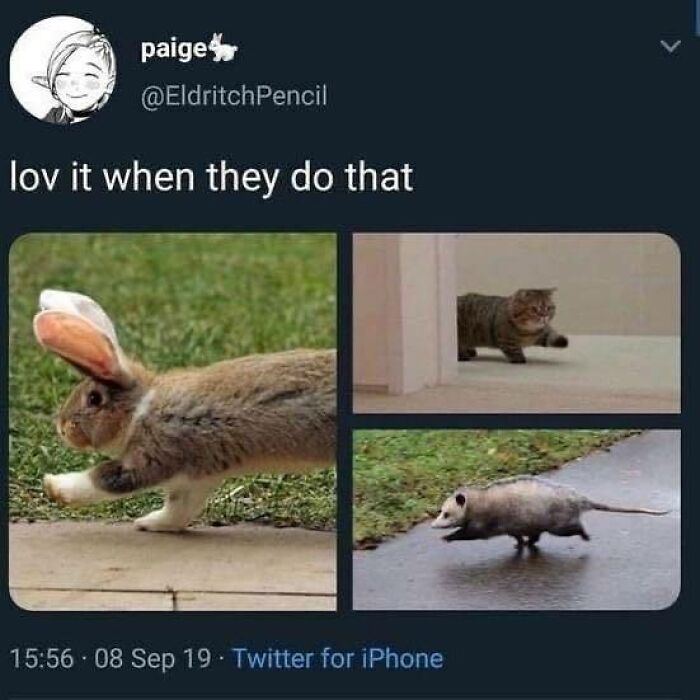 Need a Smile? These 89 Wholesome Memes Will Totally Boost Your Mood