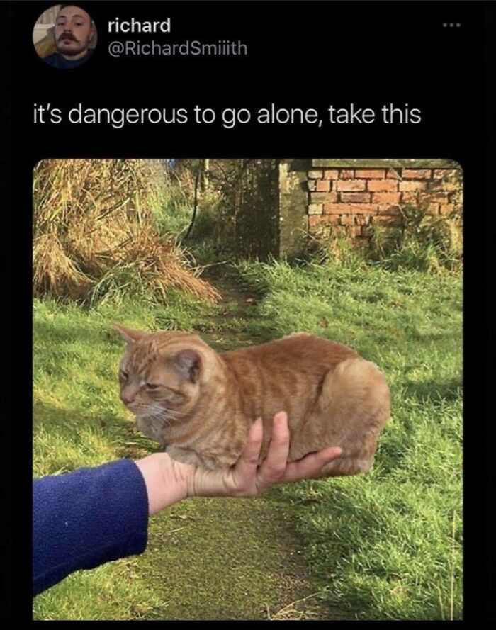 Need a Smile? These 89 Wholesome Memes Will Totally Boost Your Mood