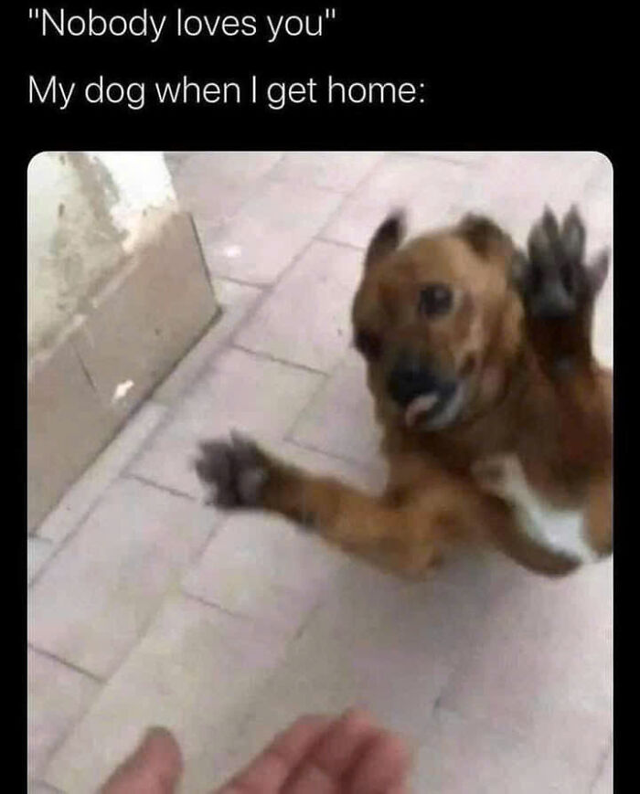 Need a Smile? These 89 Wholesome Memes Will Totally Boost Your Mood