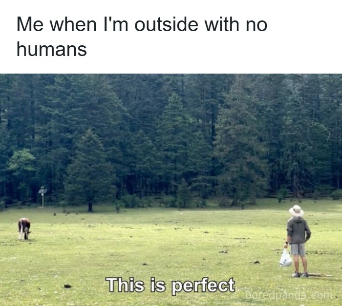 Need a Smile? These 89 Wholesome Memes Will Totally Boost Your Mood