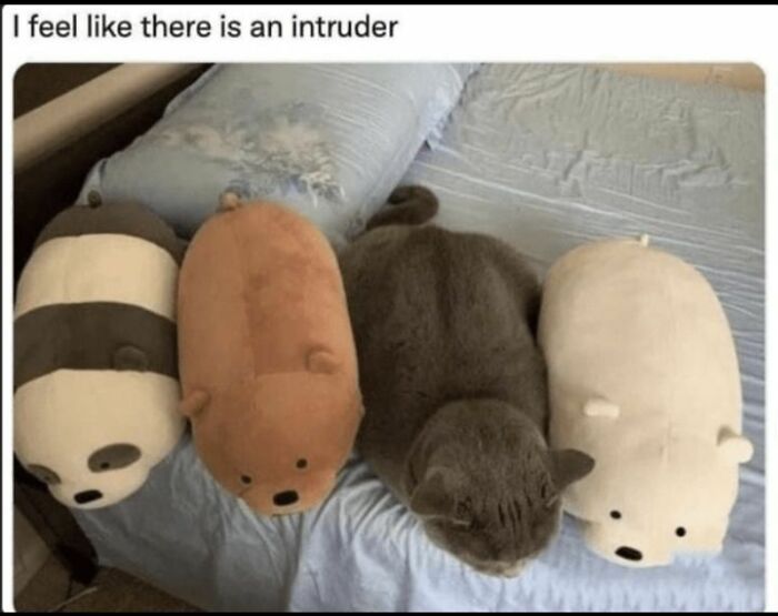 Need a Smile? These 89 Wholesome Memes Will Totally Boost Your Mood