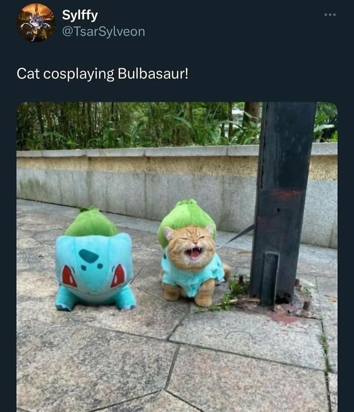 Need a Smile? These 89 Wholesome Memes Will Totally Boost Your Mood