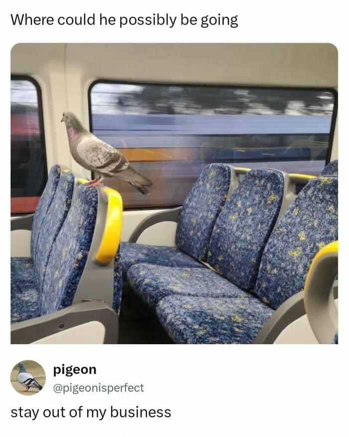 These Memes Are Basically Therapy (But Funnier)