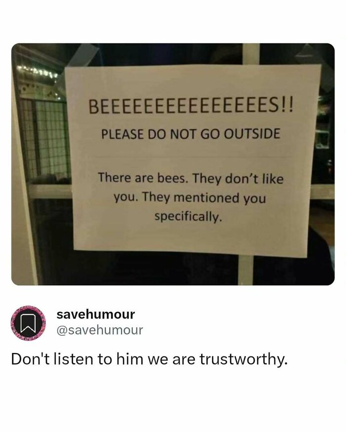 These Memes Are Basically Therapy (But Funnier)