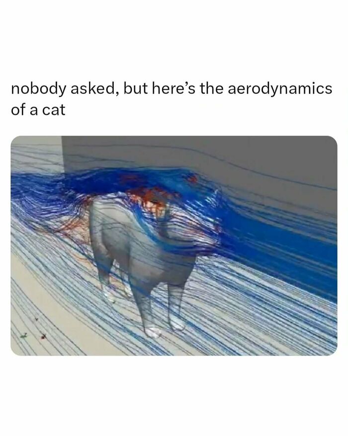 These Memes Are Basically Therapy (But Funnier)