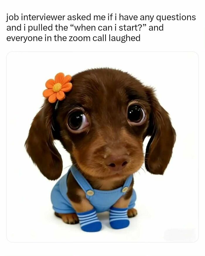 These Memes Are Basically Therapy (But Funnier)