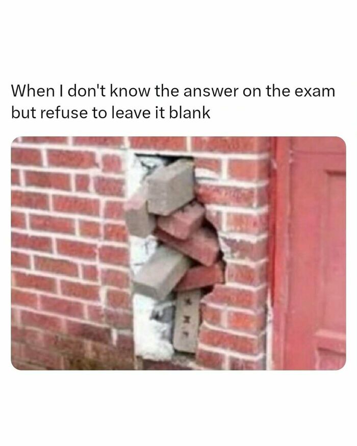 These Memes Are Basically Therapy (But Funnier)
