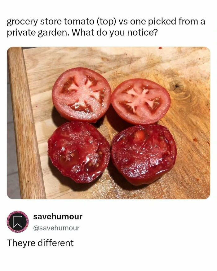 These Memes Are Basically Therapy (But Funnier)