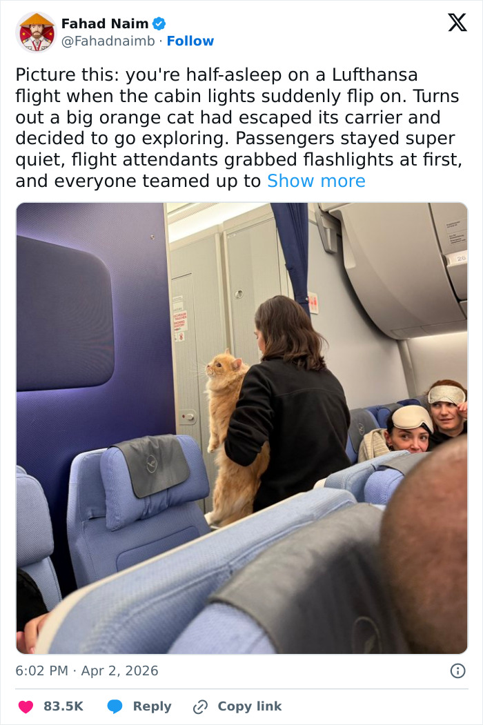 Wait, These 55 Cat Tweets Nailed It So Hard It Hurts (In a Good Way)