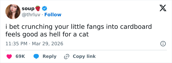 Wait, These 55 Cat Tweets Nailed It So Hard It Hurts (In a Good Way)