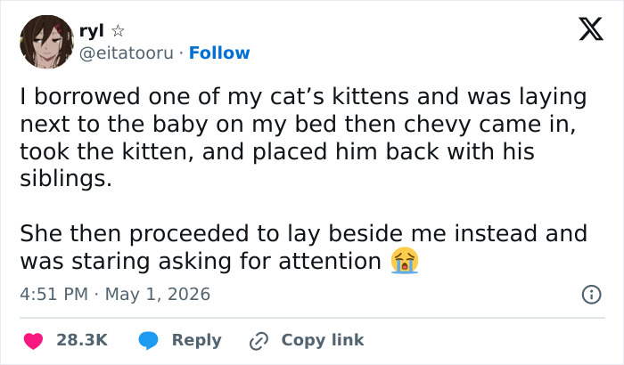 Wait, These 55 Cat Tweets Nailed It So Hard It Hurts (In a Good Way)