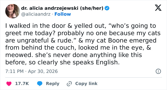 Wait, These 55 Cat Tweets Nailed It So Hard It Hurts (In a Good Way)