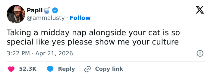 Wait, These 55 Cat Tweets Nailed It So Hard It Hurts (In a Good Way)