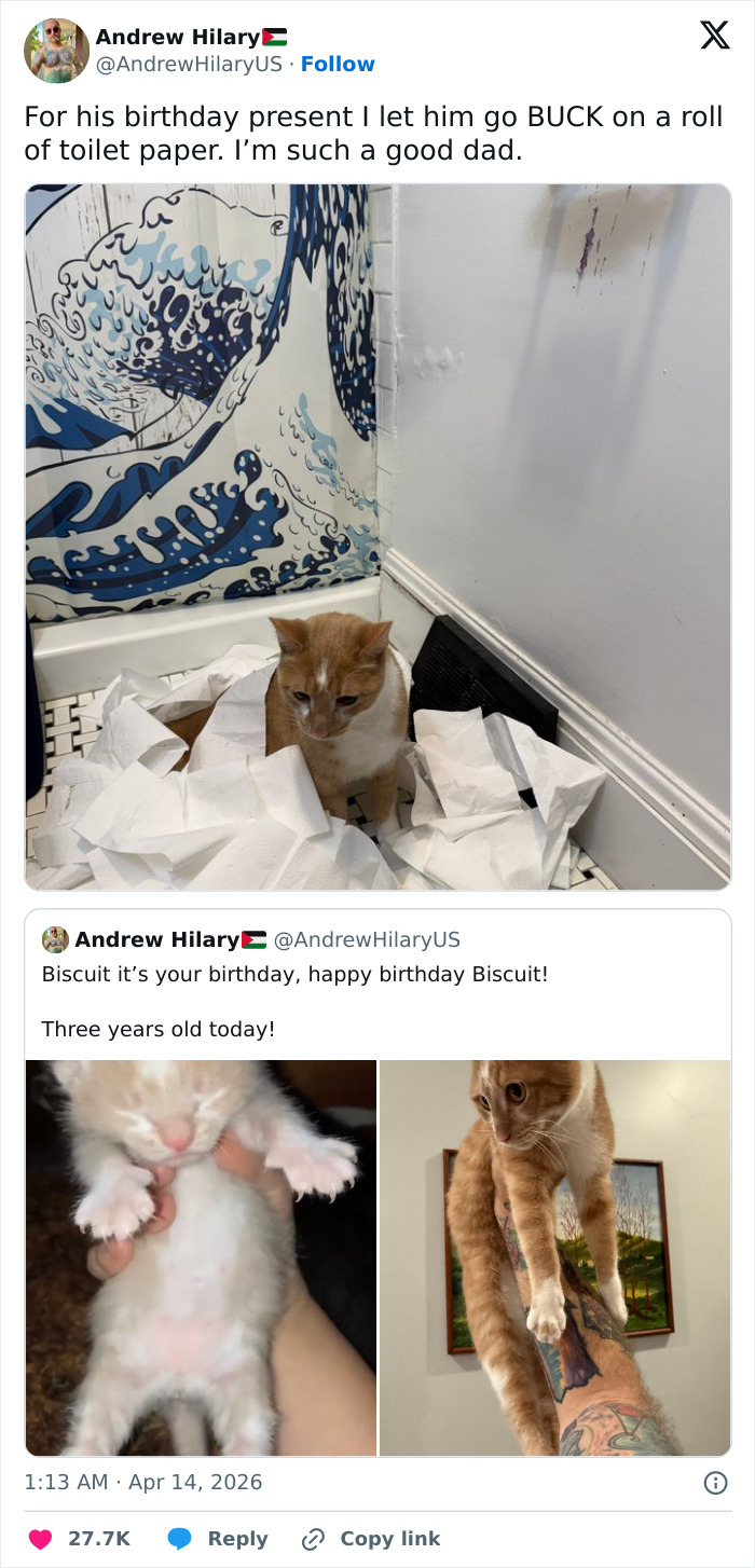 Wait, These 55 Cat Tweets Nailed It So Hard It Hurts (In a Good Way)
