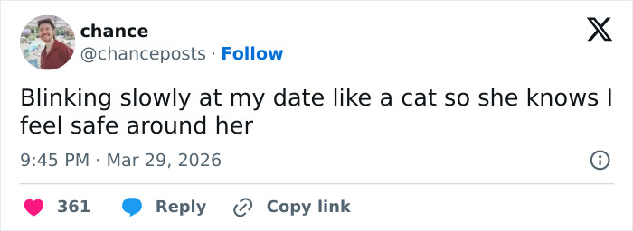 Wait, These 55 Cat Tweets Nailed It So Hard It Hurts (In a Good Way)