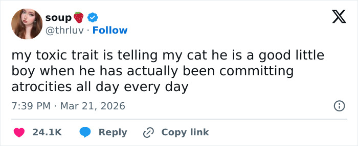 Wait, These 55 Cat Tweets Nailed It So Hard It Hurts (In a Good Way)