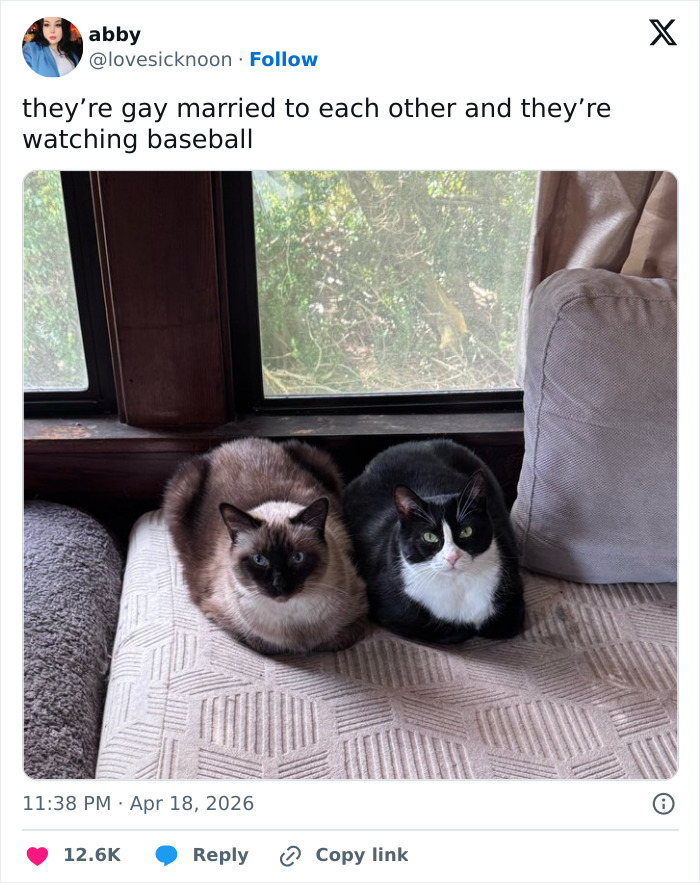 Wait, These 55 Cat Tweets Nailed It So Hard It Hurts (In a Good Way)