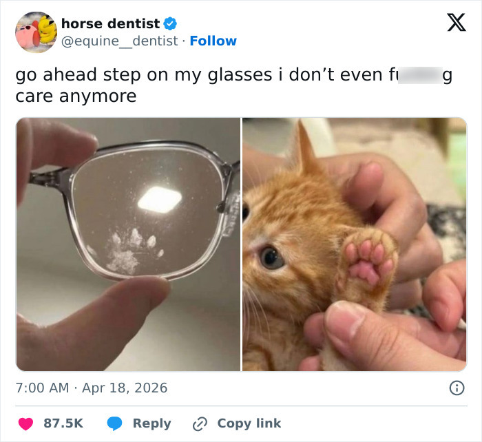 Wait, These 55 Cat Tweets Nailed It So Hard It Hurts (In a Good Way)