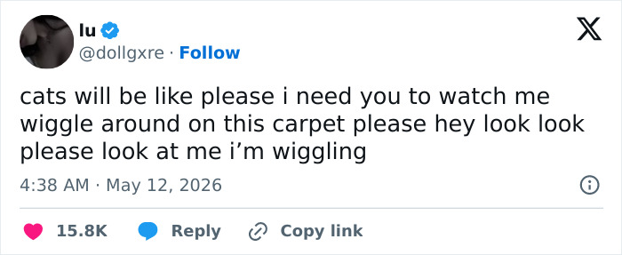 Wait, These 55 Cat Tweets Nailed It So Hard It Hurts (In a Good Way)