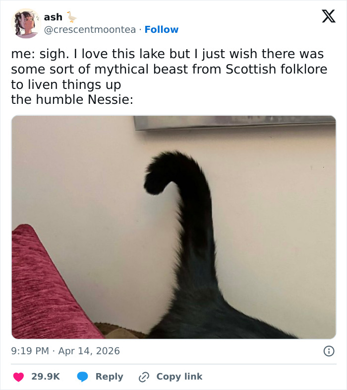 Wait, These 55 Cat Tweets Nailed It So Hard It Hurts (In a Good Way)