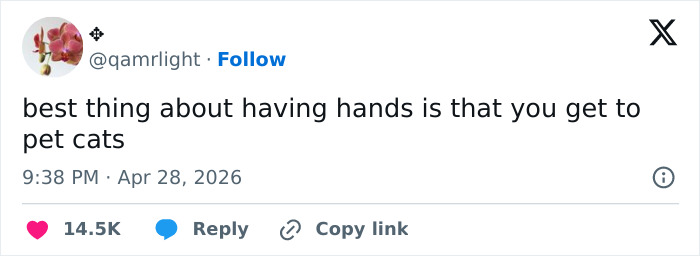 Wait, These 55 Cat Tweets Nailed It So Hard It Hurts (In a Good Way)