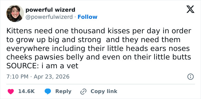 Wait, These 55 Cat Tweets Nailed It So Hard It Hurts (In a Good Way)
