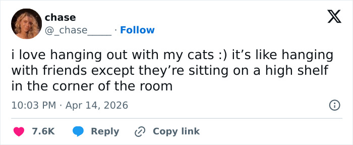 Wait, These 55 Cat Tweets Nailed It So Hard It Hurts (In a Good Way)