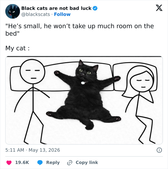 Wait, These 55 Cat Tweets Nailed It So Hard It Hurts (In a Good Way)