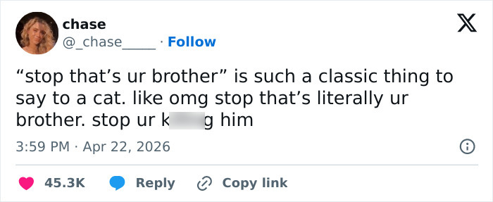 Wait, These 55 Cat Tweets Nailed It So Hard It Hurts (In a Good Way)