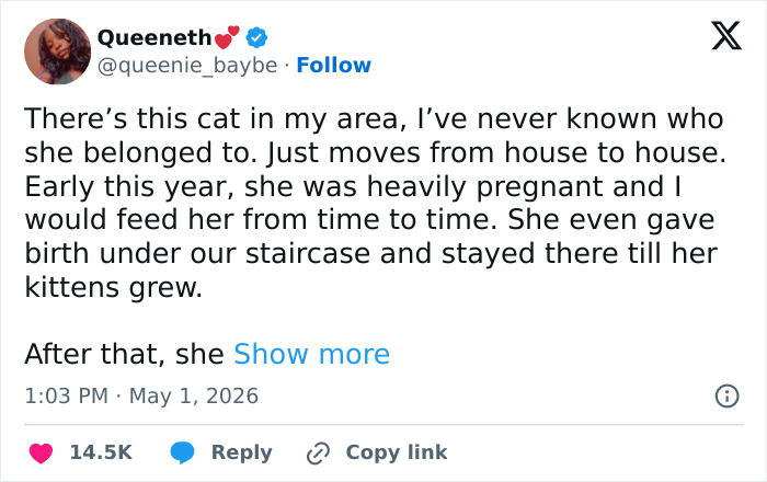 Wait, These 55 Cat Tweets Nailed It So Hard It Hurts (In a Good Way)