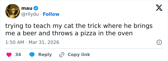 Wait, These 55 Cat Tweets Nailed It So Hard It Hurts (In a Good Way)
