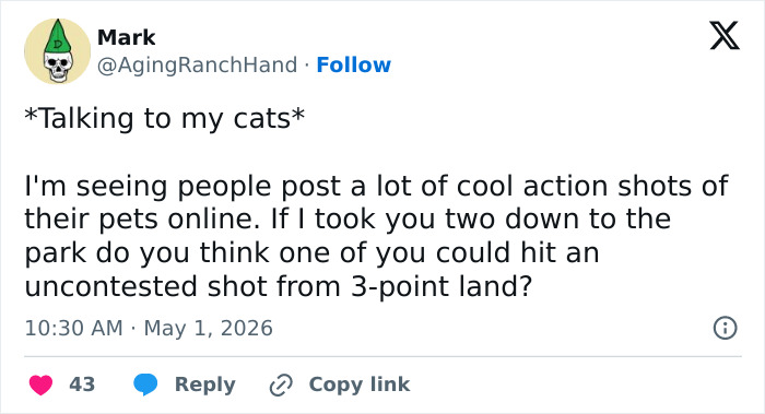 Wait, These 55 Cat Tweets Nailed It So Hard It Hurts (In a Good Way)