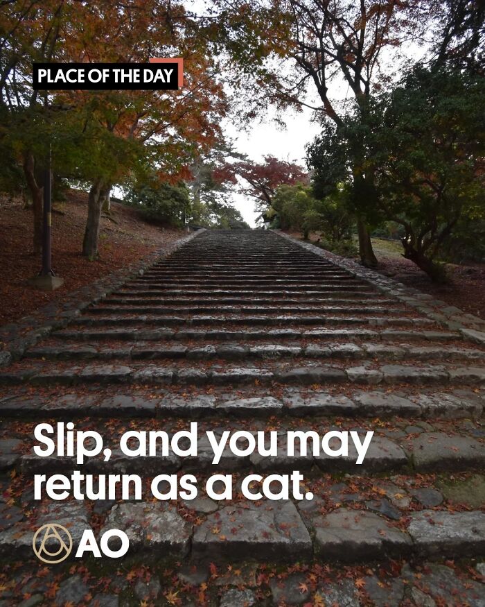 Danzaka Slope, Japan: Cat Steps You Don’t Want to Fall On