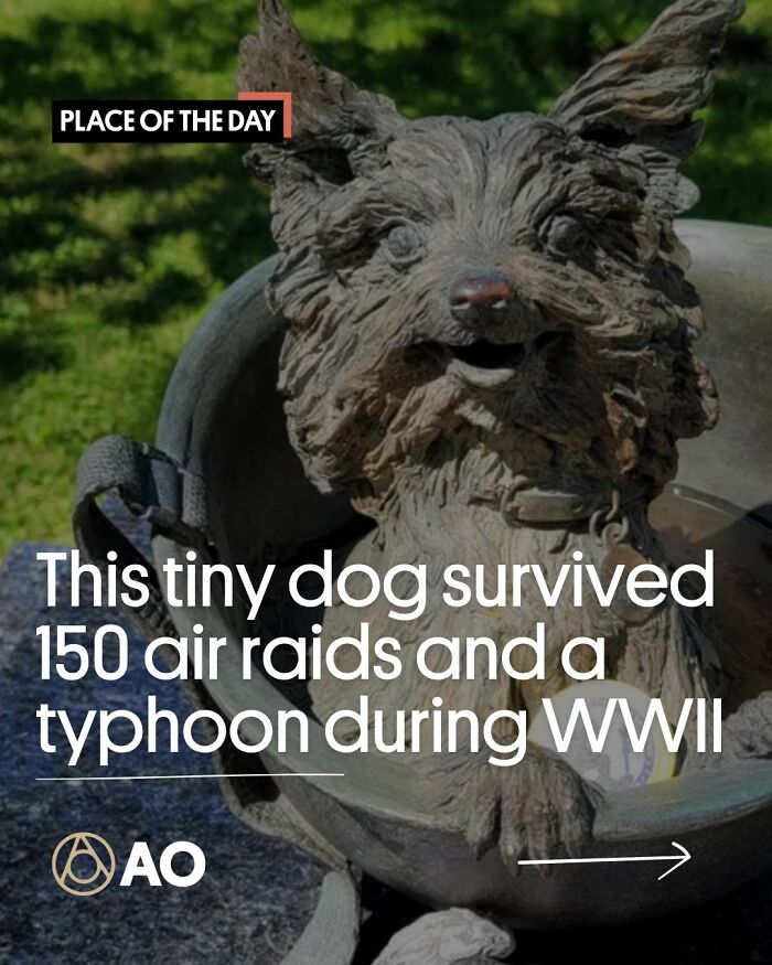 Smoky Statue, Ohio: War Hero Yorkie With Attitude