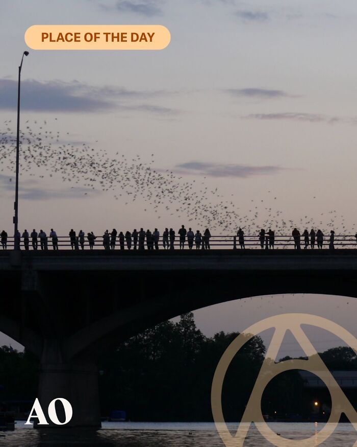 Congress Ave Bridge, Austin: Bat City Launchpad
