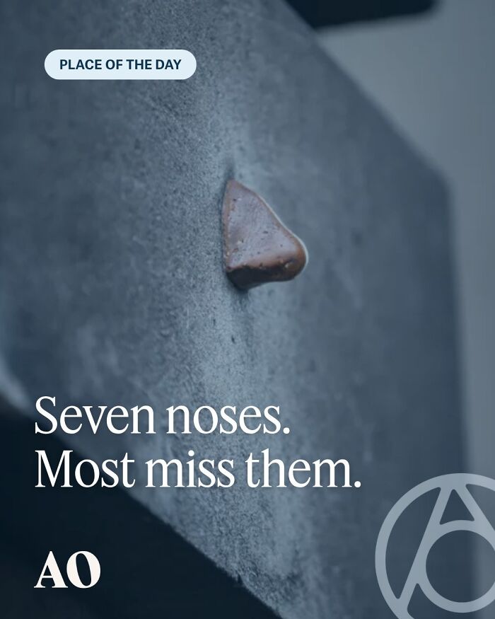 Secret Noses of Soho, London: The Nose Hunt Nobody Knew About