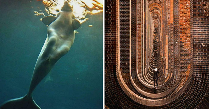 These 78 Pics Will Make You Say “Wait, What?!” Because Yes, They Really Exist