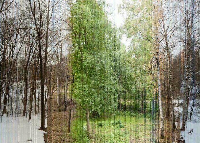 365 Days Sliced Into One Picture—Mind. Blown.