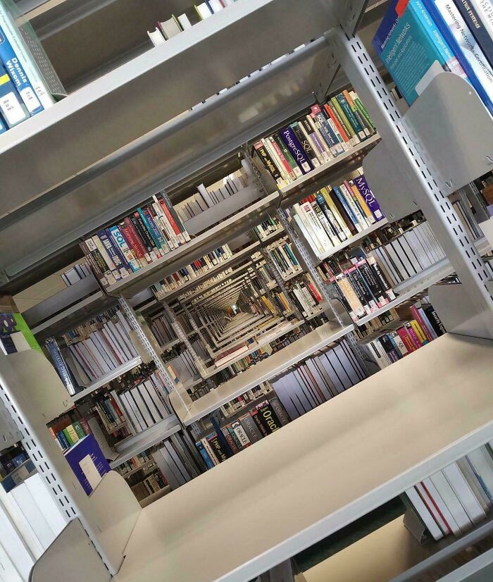 A Library Doorway That’s Basically a Portal to Narnia